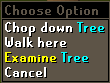 Examine