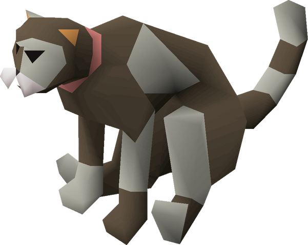 File:Dromund's cat.png