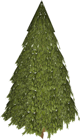 File:Evergreen.png