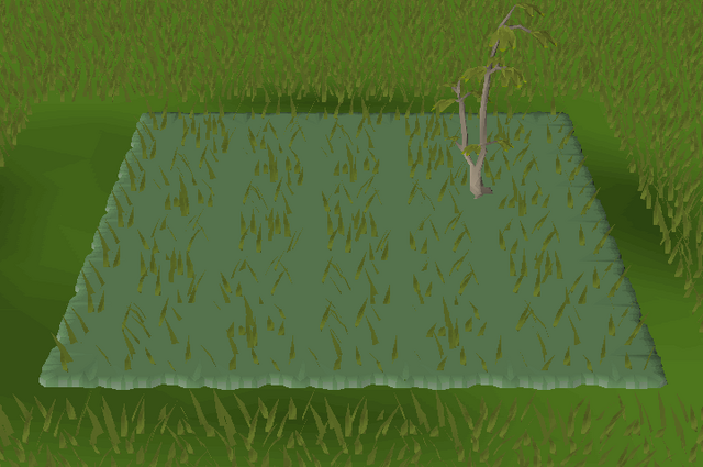 File:Forest habitat built.png