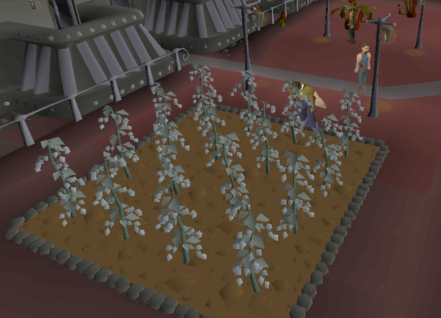 File:Kelda hops grown.png