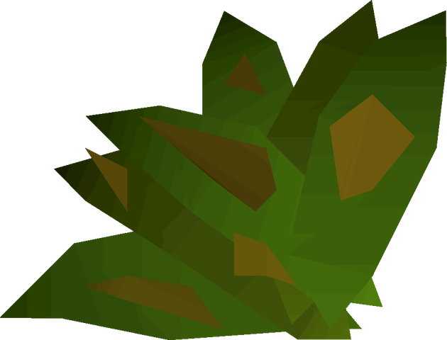 File:Grimy ranarr weed detail.png