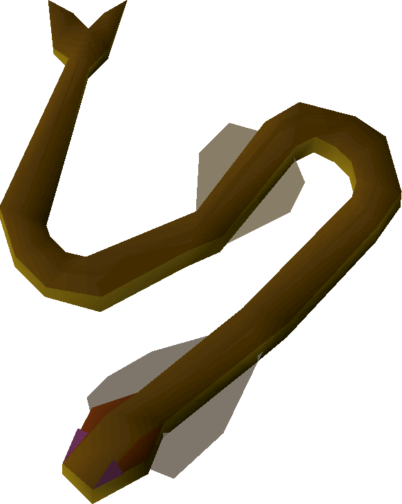 Cave eel | Old School RuneScape Wiki | FANDOM powered by Wikia