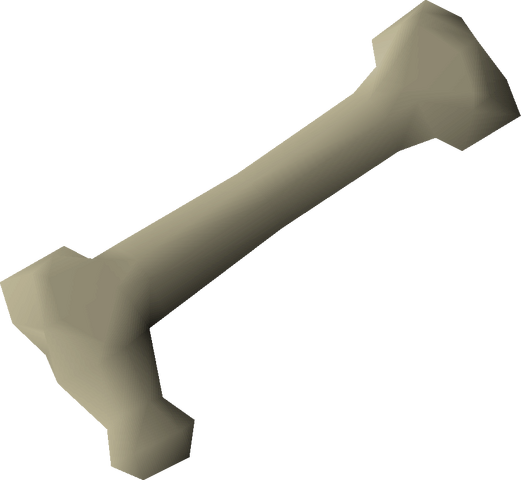 File:Long bone detail.png