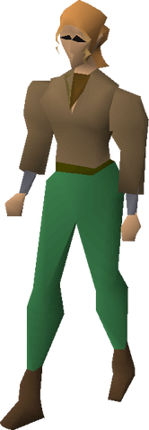 File:Fremennik brown shirt equipped.png