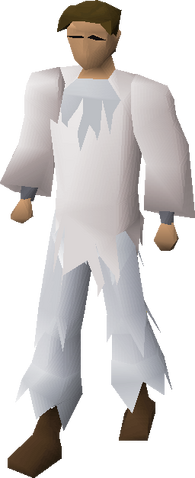 File:Polar camouflage gear equipped.png