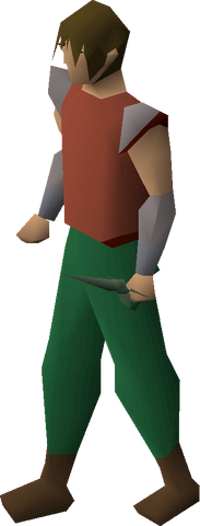 File:Adamant defender equipped.png