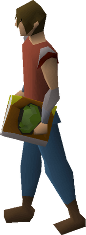 File:Cruciferous codex equipped.png