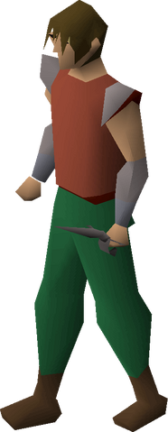 File:Iron defender equipped.png