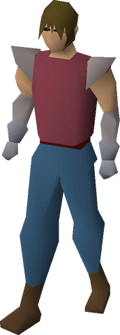 File:Steel gauntlets equipped.png