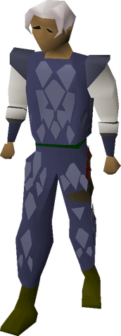 File:Blue d'hide armour equipped.png