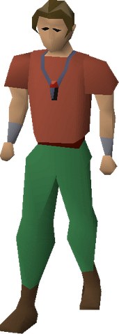 File:Amulet of fury equipped.png