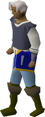 File:Holy book equipped.png