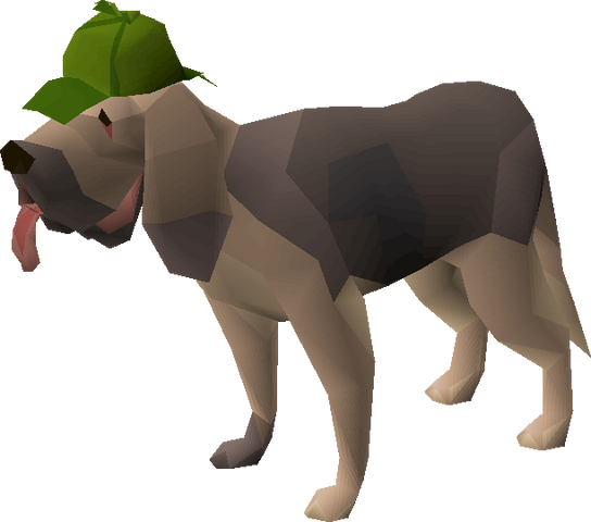 File:Bloodhound pet.png