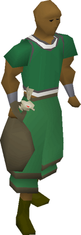 File:Undead chicken equipped.png
