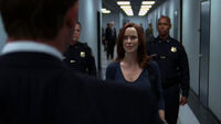 Renee-arrest.jpg