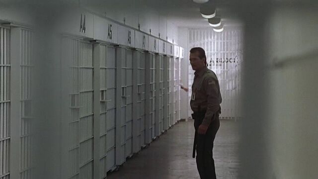 File:3x04 cells.jpg