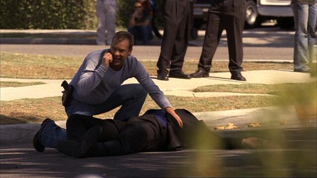 File:6x08f.jpg