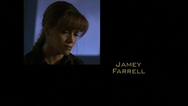 File:Prev113x02.jpg