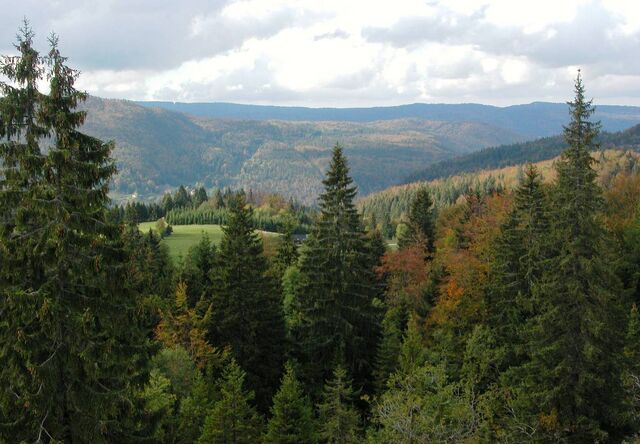 File:Jura-mountains4.jpg