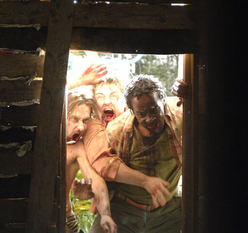 File:InfectedInCottageWindow.jpg