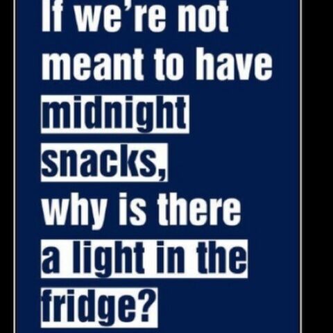 File:Fridge.jpg