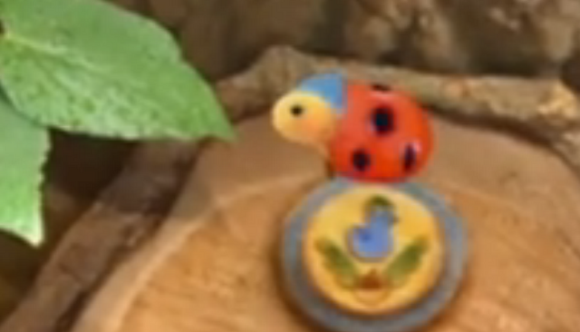File:3rd & Bird Ladybird.png