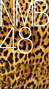 Nmblogo