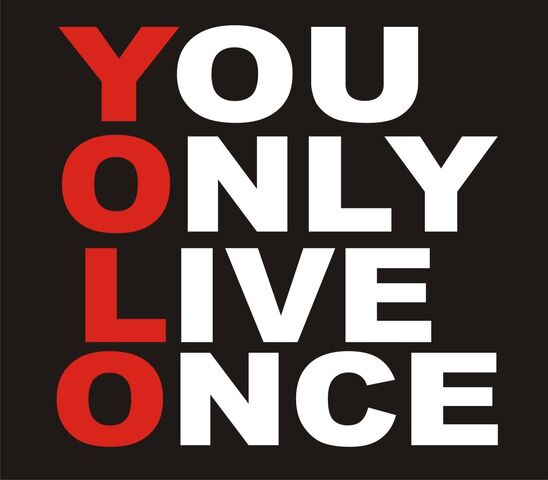 File:Filepicker-cu8RtvHTyLM2781g44RQ YOLO.jpg