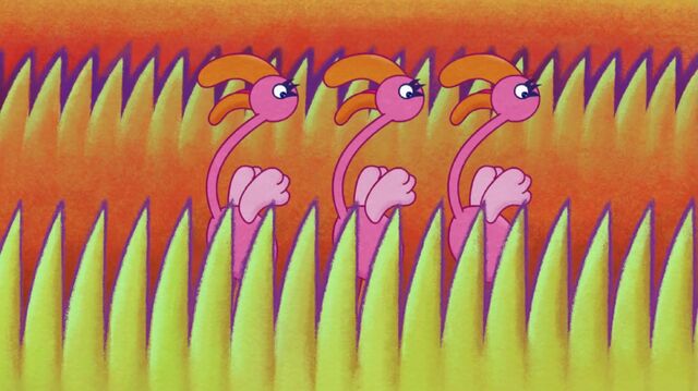 File:Another Image of Flamingos.jpg
