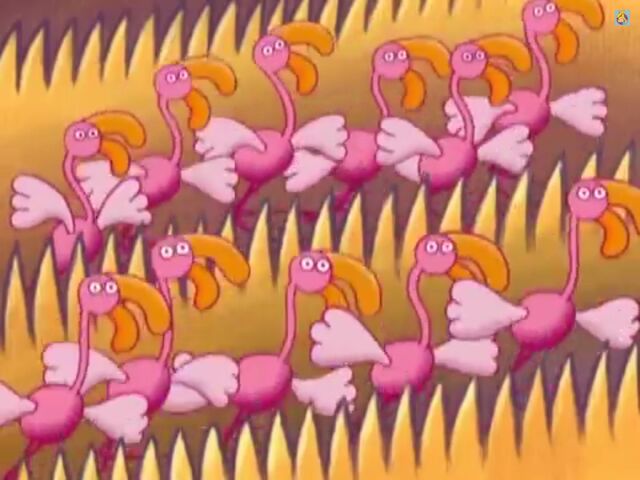 File:Dancing Flamingos.jpg