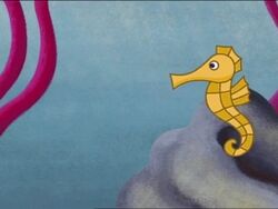 Seahorse