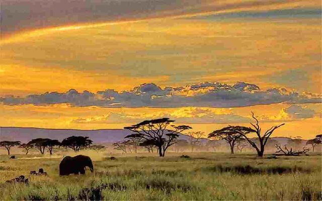 File:African-Safari-Wallpaper.jpg