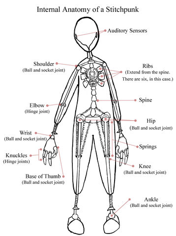 File:Stichanatint copy.jpg