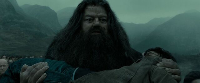 File:Hagrid carrying Harry.jpg