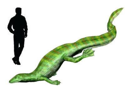 Hovasaurus