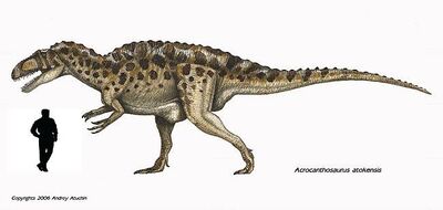 Acrocanthosaurus a escala.jpg