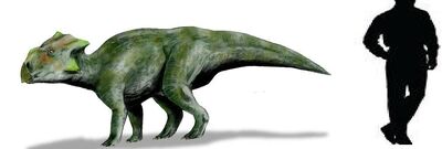 Bagaceratops