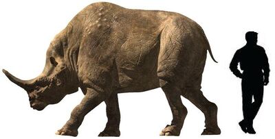 Embolotherium.jpg