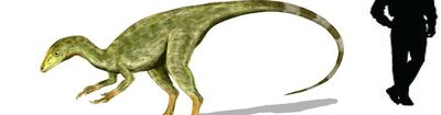 Aristosuchus.jpg