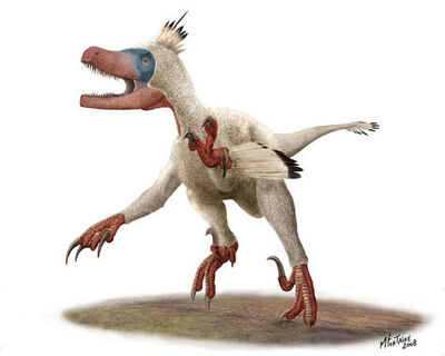 Variraptor