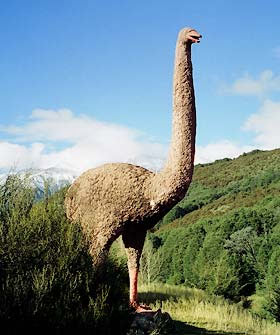 Moa2.jpg