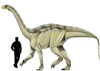 Euskelosaurus.jpg
