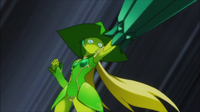 7d.png