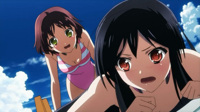 Plik:Accel World - 18 - Large 05.jpg