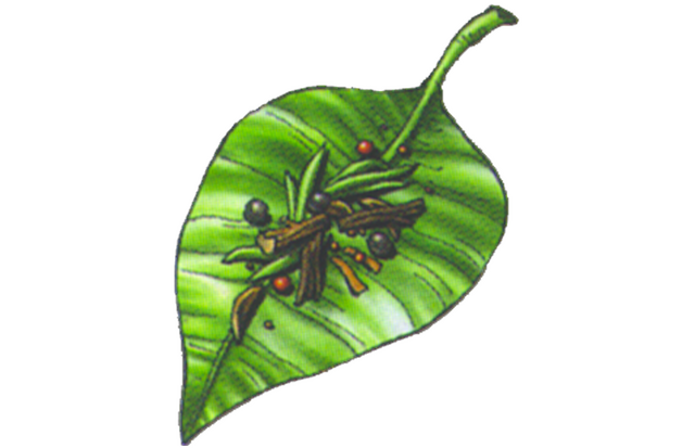 Fichier:Wikia-Visualization-Add-1,frdragonquest.png