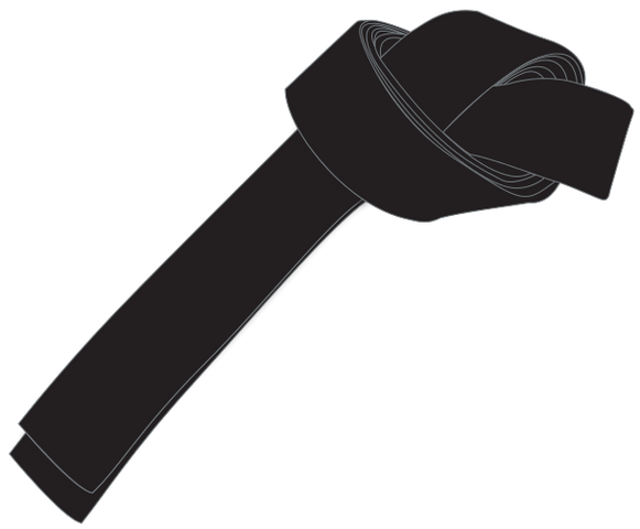 Fichier:Wikia-Visualization-Main,frkenpokandojo.png