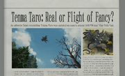 Tenma Taro newspaper