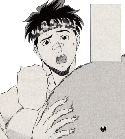 File:Flip Chambers.png