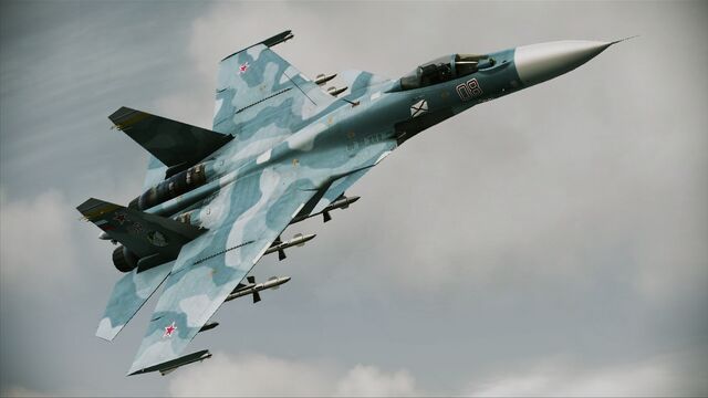 File:ACAH Su-33D Profile.jpg